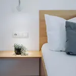 Volderauer * نيوستيف ام ستوبيتا