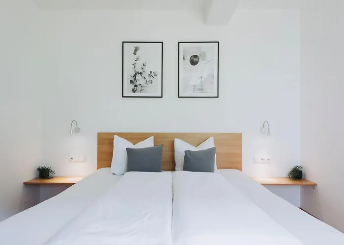 Volderauer 施图拜河谷新施蒂夫特